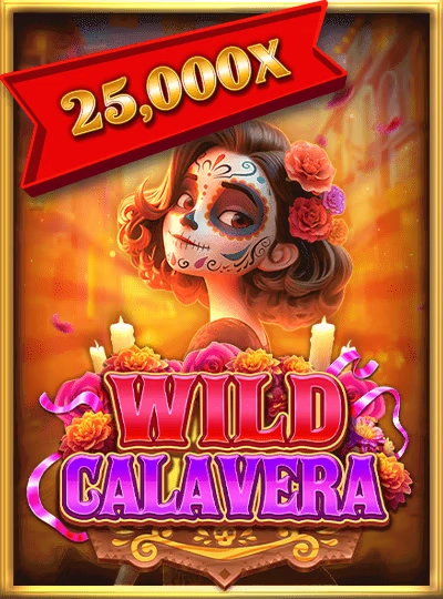 Popular slots game cover